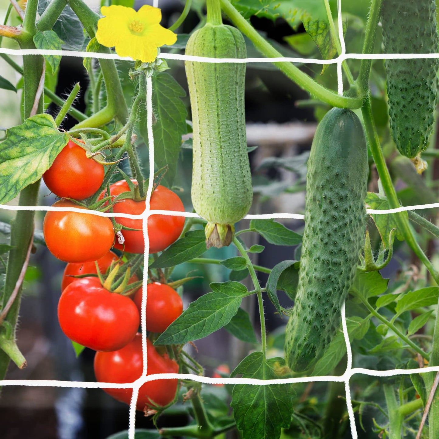 Trellis Netting, 2 Pack 5x30 Ft Garden Trellis Netting, Heavy Duty Square Mesh Outdoor Grow Vining Net for Climbing Plants, Tomatoes Peas Cucumber and Flower Plant with 50pcs Garden Ties