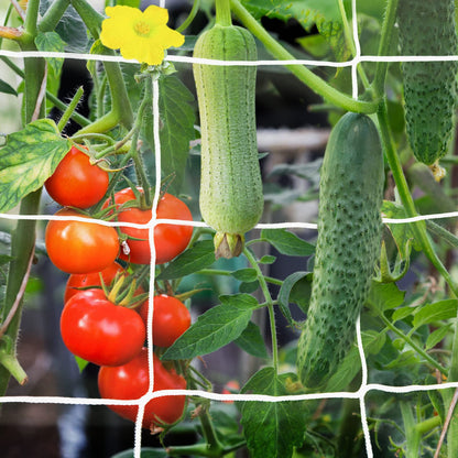 Trellis Netting, 2 Pack 5x30 Ft Garden Trellis Netting, Heavy Duty Square Mesh Outdoor Grow Vining Net for Climbing Plants, Tomatoes Peas Cucumber and Flower Plant with 50pcs Garden Ties