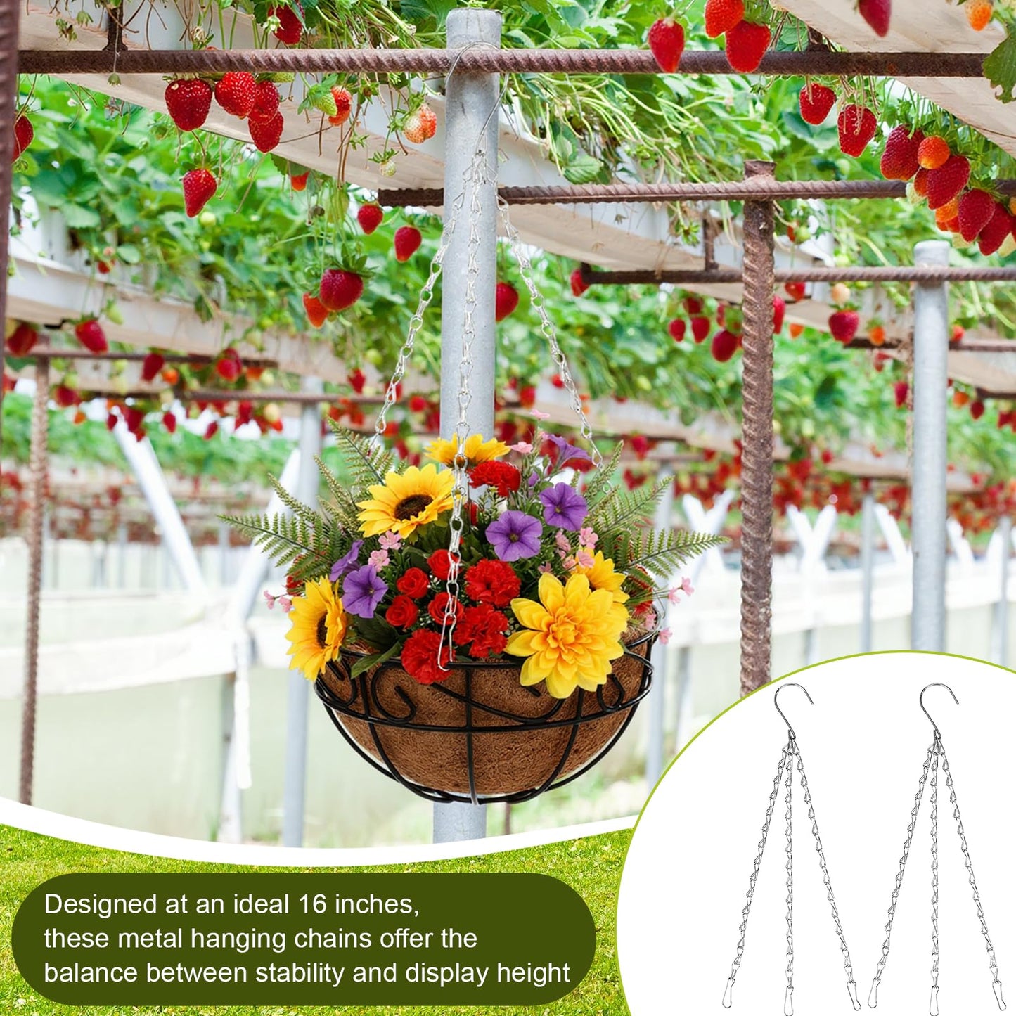Hicarer 50 Pack Hanging Basket Chain 16 Inch Bulk Chains for Hanging Baskets with Hooks 3 Leads Metal Chain Planter Hangers Outdoor Flower Plant Pot Replacement for Patio Garden Greenhouse Supplies