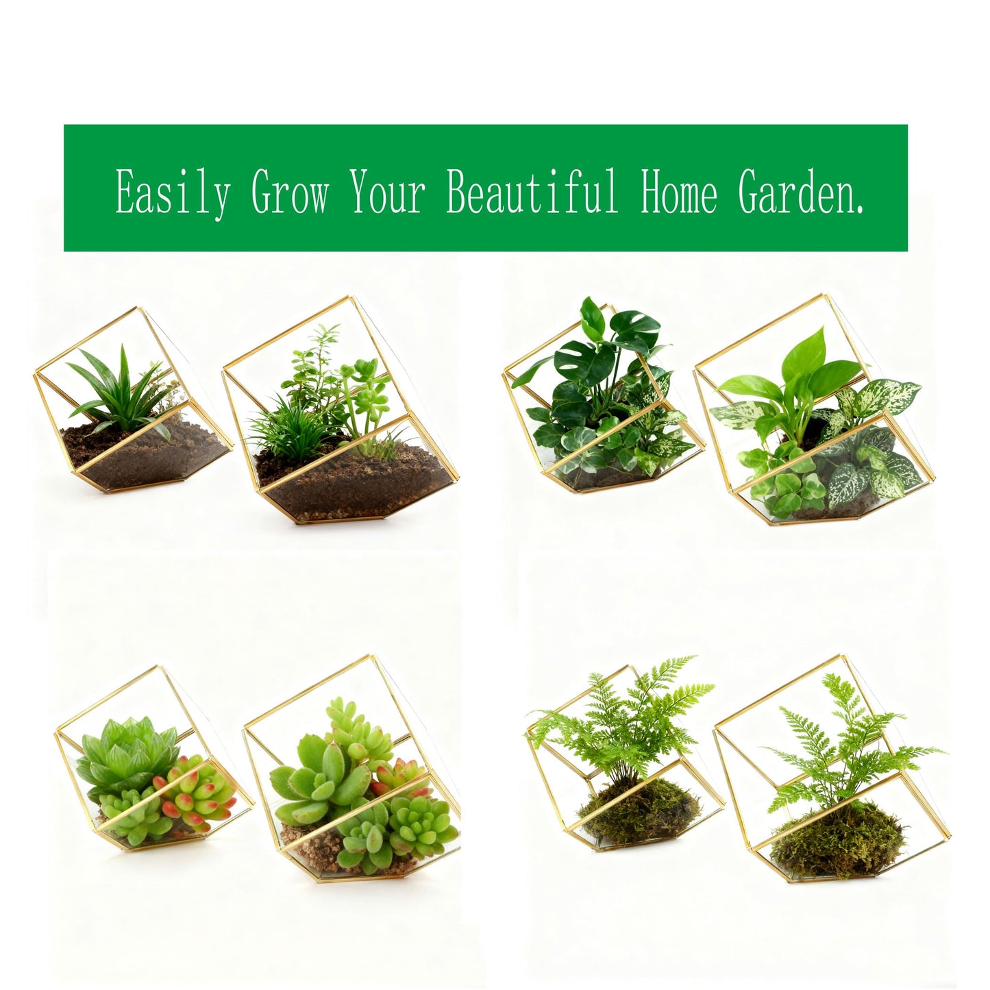 ELEGANTLIFE Glass Geometric Plant Terrarium,Succulent & Air Planter for Home Garden Office Decoration(Gold Cubic Set of 2)