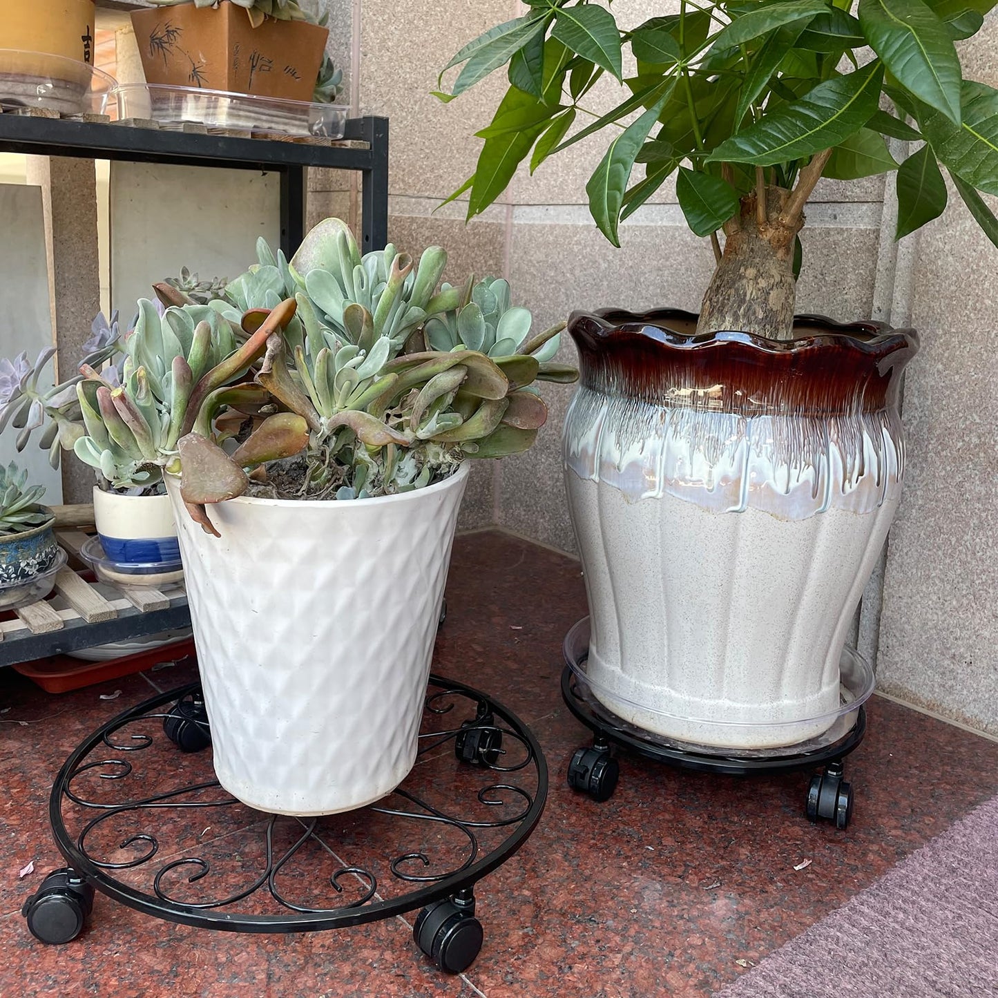 lucpur 6 Pack Metal Plant Stand with Wheels 13.5 Inch Plant Caddy with Wheels Heavy Duty Wrought Iron Rolling Plant Stand Plant Dolly Plant Rollers Plant Cart Plant Mover with 6 Pack Plant Saucers