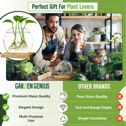 Single Glass Propagation Station with Wooden Base – Hydroponic Plant Terrarium for Home & Office | Ideal Christmas, New Year & Birthday Gift for Plant Lovers, Moms | Desktop Windowsill Planter Vase