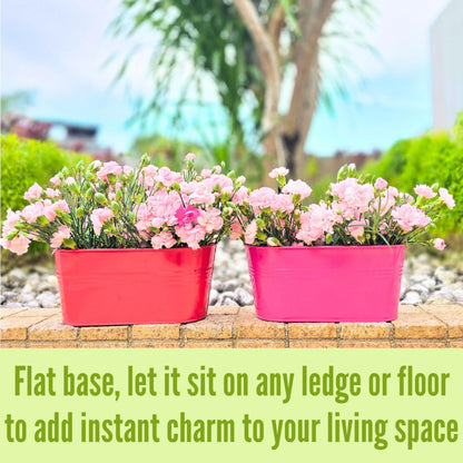 LaLaGreen Outdoor Hanging Planter (11.2 Inch, 6 Pack) Light Purple, Green, Yellow, Cadet Blue, Dark Pink, Red Metal Iron Window Box Flower Pot Deck Railings Balcony Fence Rail Porch Home Garden Decor