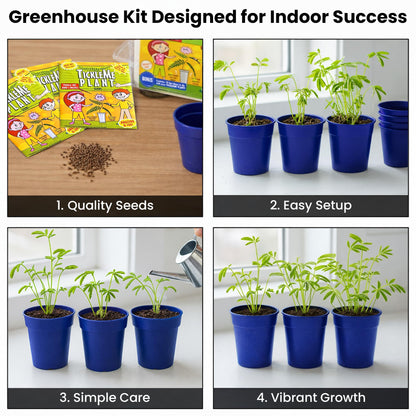TickleMe Plant Deluxe Family Greenhouse Kit - Grow the Playful Plant that Closes Its Leaves When Tickled! Includes Mini Greenhouse, 3 Seed Packets, Soil Pellets & Pots - Fun Indoor Gardening Gift
