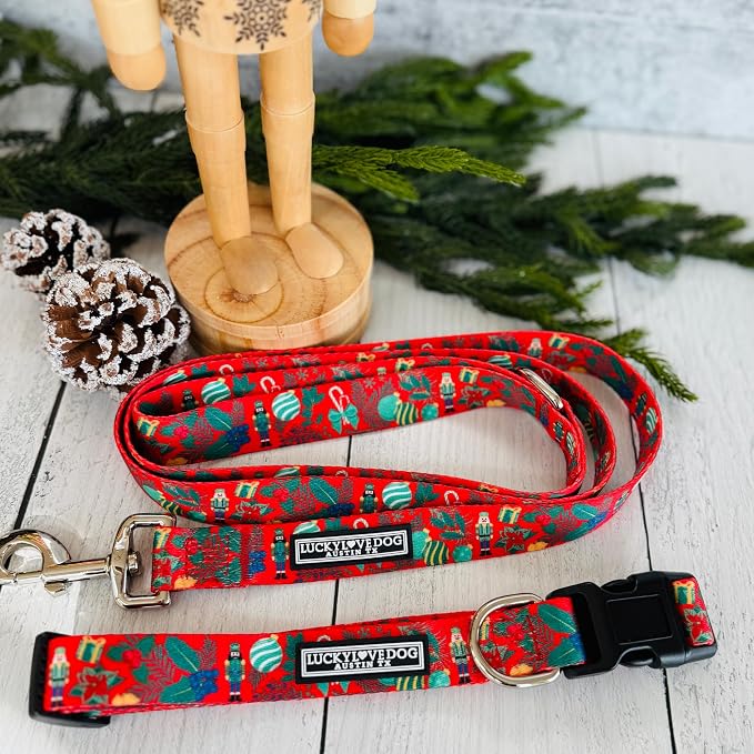 Lucky Love Dog - Easy Click Buckle Dog Collar with Leash Set Combo, Durable & Comfortable for Male & Female Dogs, Pet Collar for Large Dogs, Secure Fit - Fritz Combo, Large