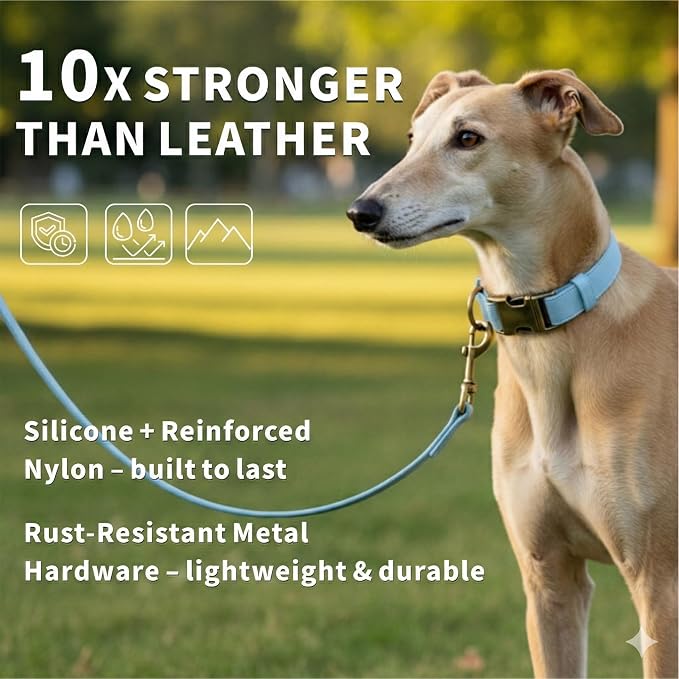 Silicone Dog Collar and Leash Set, Waterproof & Odor-Proof Puppy Collar for Small Dogs, Soft Flexible Leather-Look Dog Collars, Durable Thick Adjustable Pet Collar (Blue, Small (11-15.5" Neck))