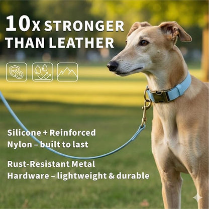 Silicone Dog Collar and Leash Set, Waterproof & Odor-Proof Puppy Collar for Small Dogs, Soft Flexible Leather-Look Dog Collars, Durable Thick Adjustable Pet Collar (Blue, Small (11-15.5" Neck))