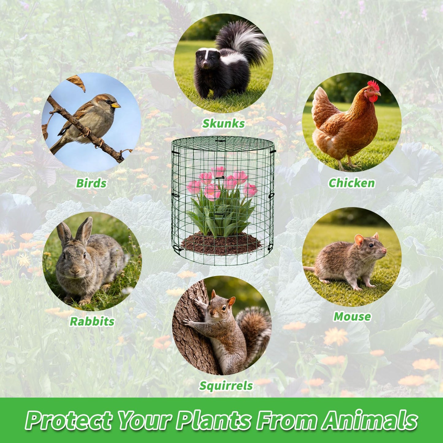 PREUVEDE 6 Pack Dark Green Plant Protectors, 11.8×11.8in Round Wire Garden Fence Cage with Lid, Animal-Proof Mesh Plant Covers for Rabbits, Squirrels & Pets, Stakes, Zip Ties & Gloves Included