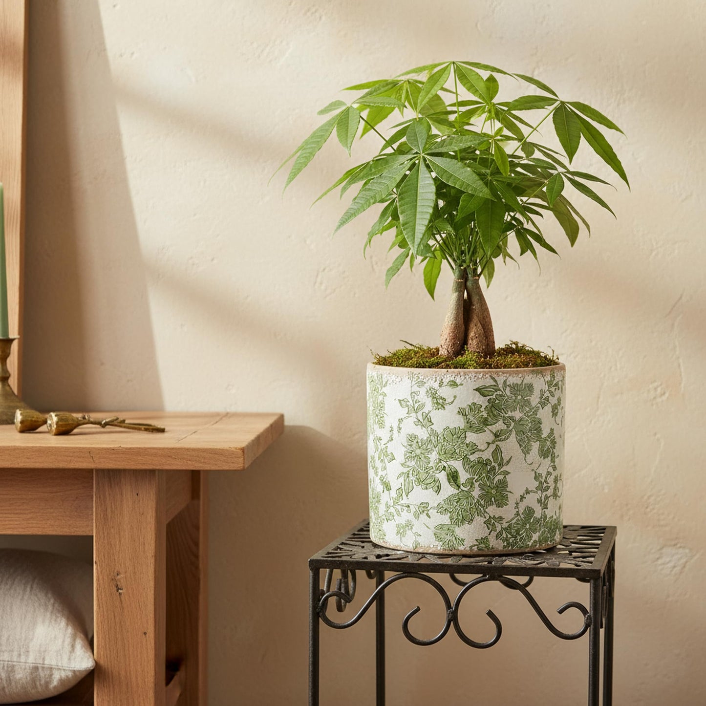 Xiaan Jiaju 7.7" Large Green Plant Pots, Flower Pots w/Drainage, French Country Farmhouse Pots for Plants, Tree Pot for Olive & Money Tree, Garden & Home Decor, Gifts for Women,Indoor/Outdoor Planter