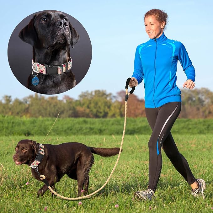 Ladoogo Reflective Dog Collar Padded with Soft Neoprene Breathable Adjustable Nylon Dog Collars for Small Medium Large Dogs (Small (Pack of 1), Vanila/Pink Floral Collar+Leash)