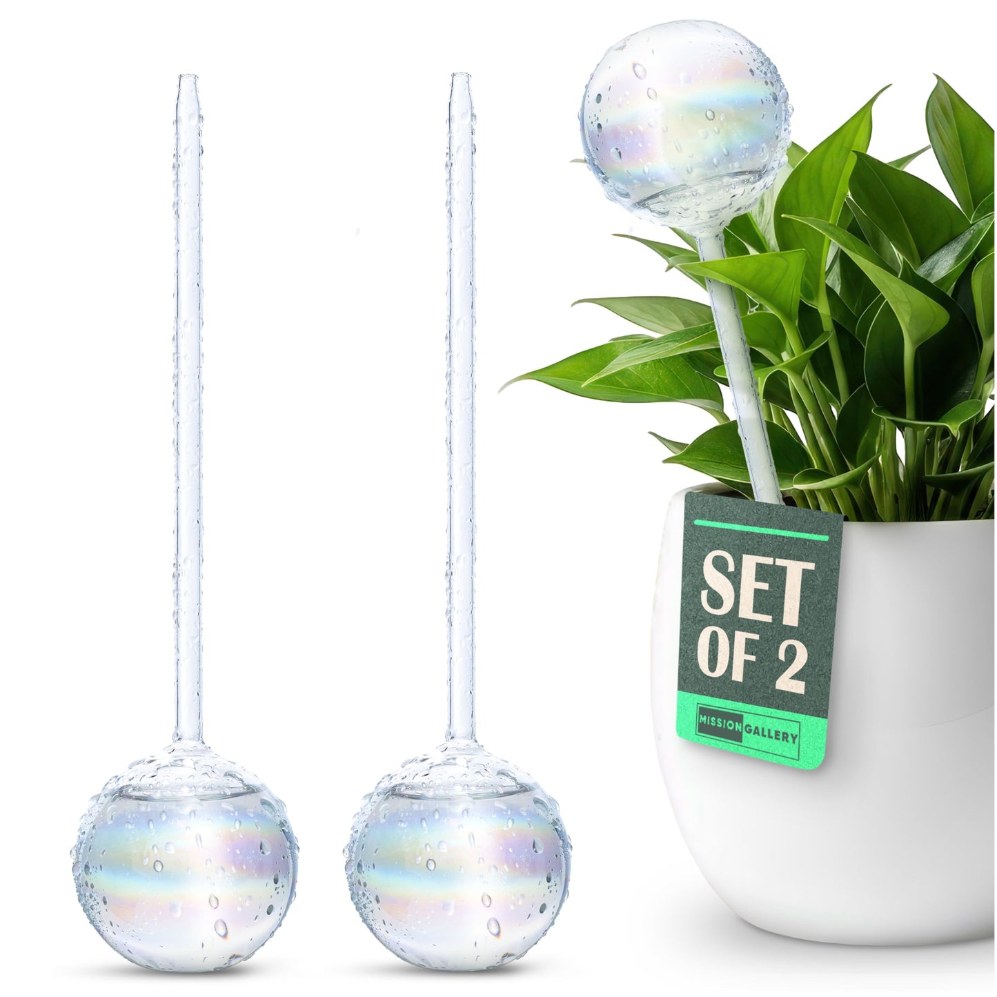 Mission Gallery Clear Plant Watering Globes Set of 2 - Large Self Watering Globes for Indoor & Outdoor Plants - Automatic, Glass Watering Bulbs for Daily Use, Plant Watering Devices