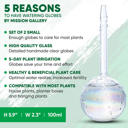 Mission Gallery Clear Plant Watering Globes Set of 2 - Small Self Watering Globes for Indoor & Outdoor Plants - Automatic Glass Watering Bulbs for Daily Use, Plant Watering Devices