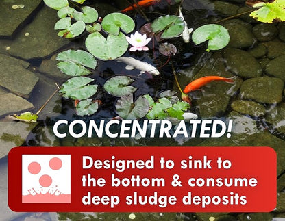 KoiWorx Muck Reducer, 145 Tablets Treats up to 6,000 Gallons of Water, Beneficial Bacteria Reduces Muck, Sludge and Organic Build up, Formulated for Ponds, Water Features and Safe for Koi