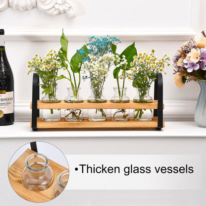 VIKEYHOME Plant Propagation Station with Wood Stand, Desktop Terrarium for Hydroponic, Flower Vase for Home, Kitchen, Office Decor, Plants Lover Gifts