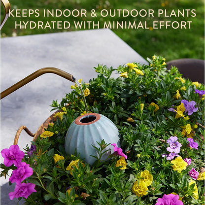 Modern Sprout Terracotta Self Watering Bulbs for Indoor Plants, 10oz Plant Watering Globes 3 Pack, Glazed Finish with Cork Top - Plum, Sage & Mustard, Decorative Plant Accessories Gift for Mom,Grandma