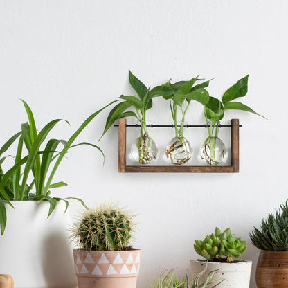 YIBOT Wall Hanging Planter Propagation Station Glass Flower Vase for Hydroponics Plants, Plant Terrarium with Wooden Stand, Bathroom, Home Office Living Room Decor Gift