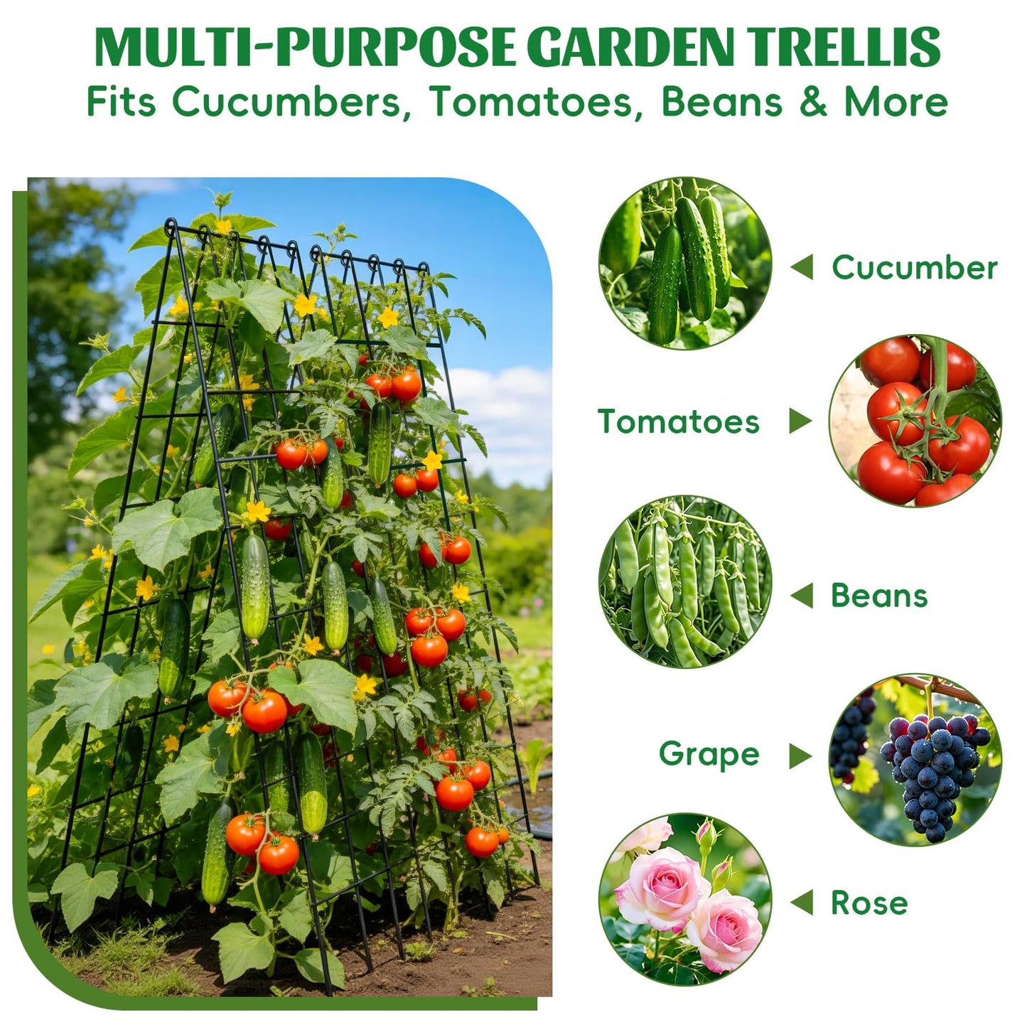 DOLEMODUO 2 Pack Cucumber Trellis, 60inch A-Frame Rustproof Steel Wire Garden Trellis for Raised Beds, Heavy Duty Climbing Plants Supports for Cucumber,Tomato, Climbing Plants and Flowers