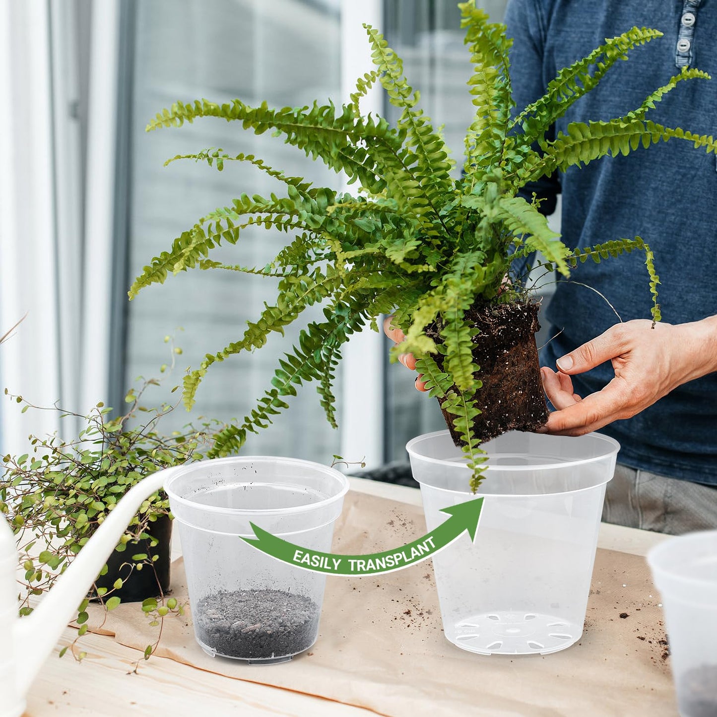 GREANER 7 Inch Transparent Plastic Garden Pots, 6 Inch Black Plant Pot Holders, 15 PCS Clear Plant Pots with Drainage Holes, 6 PCS Wall Mounted Pot Hook Bracket for Balcony, Home, Garden, Yard