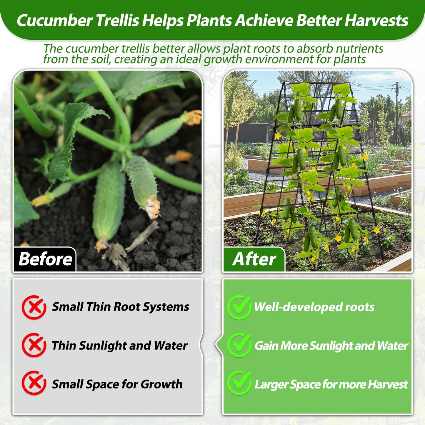 Cucumber Trellis for Raised Bed A Frame Metal Garden Trellis for Climbing Plants Outdoor, 42 x 16IN Foldable Coated Steel Cucumbers Trelli, Easy to Install Cucumber Trellis for Vegetable Fruit