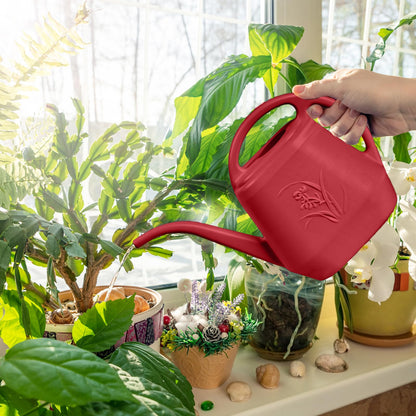 ZXJ Plant Watering Can - for Indoor and Outdoor Home Garden Plants - with Long Spout - Wine Red - 1/2 Gallon