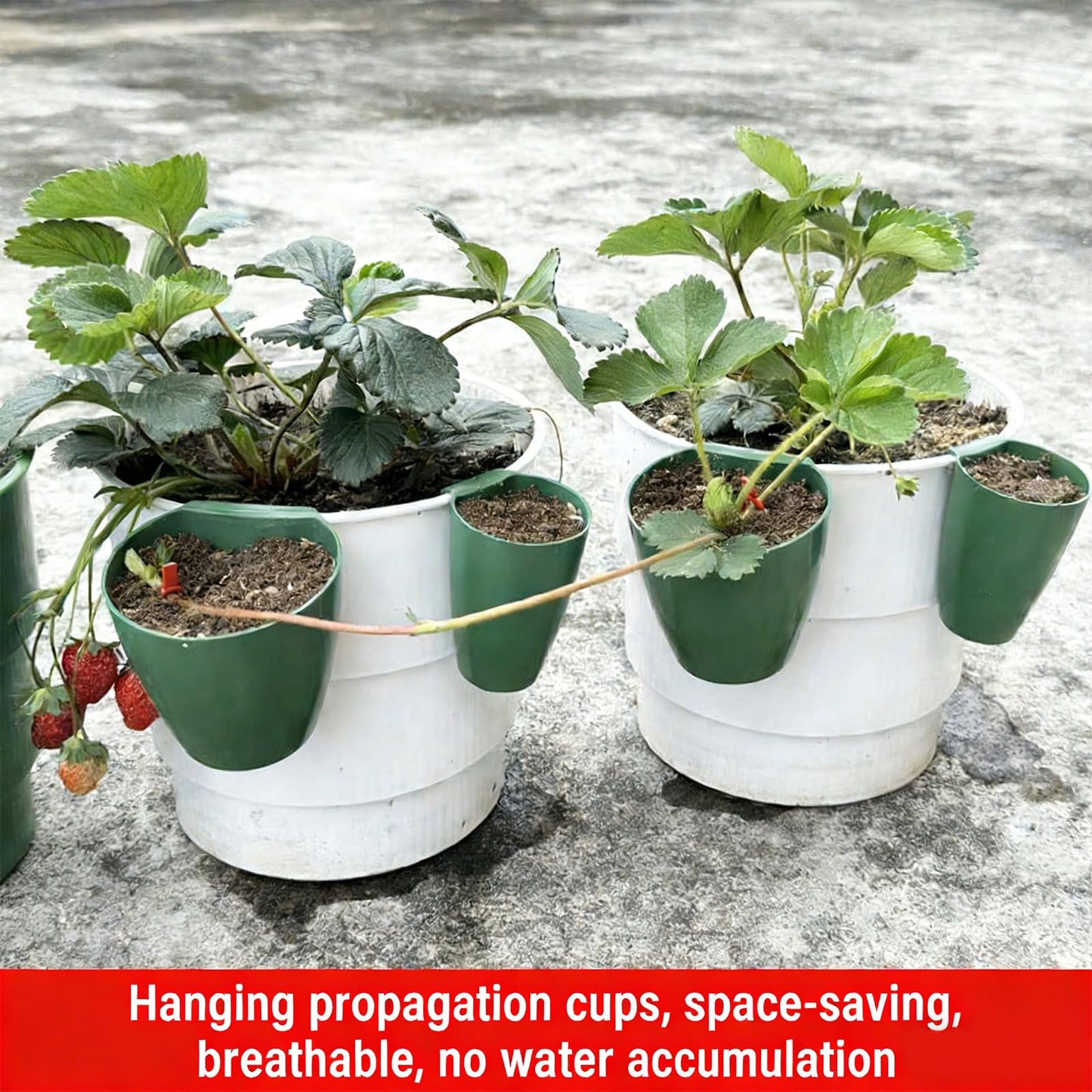 ordinarYone Breathable Strawberry Propagation Cups with Runner Forks for Root Rot and Promoting Growth in High Hu