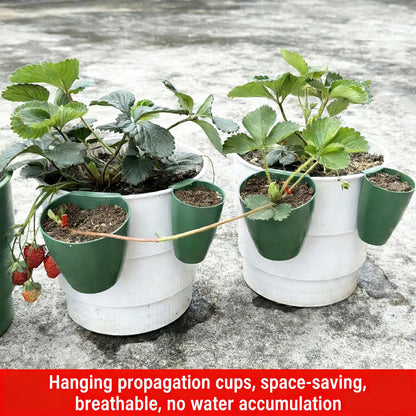 ordinarYone Breathable Strawberry Propagation Cups with Runner Forks for Root Rot and Promoting Growth in High Hu
