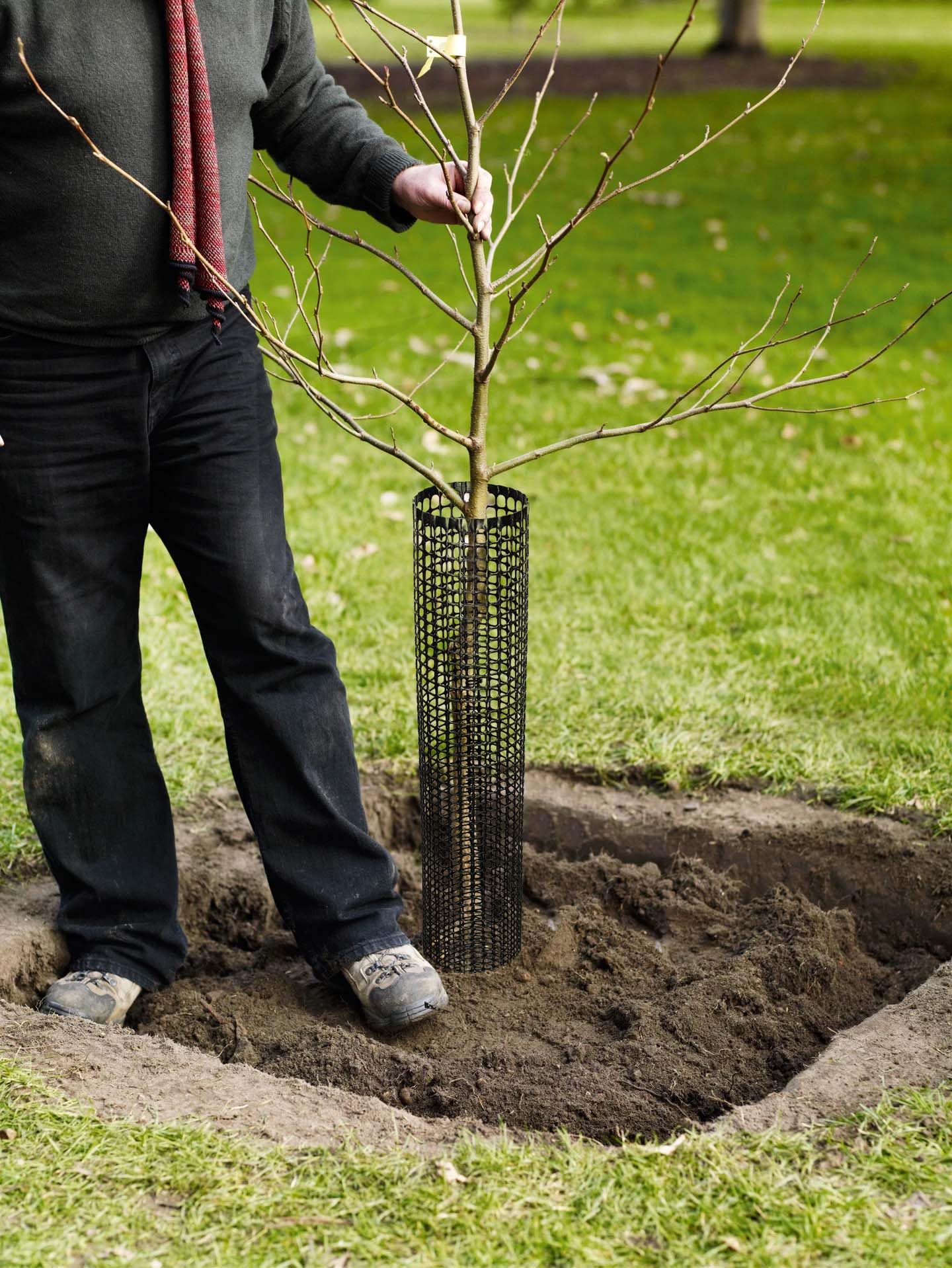 Voglund Nursery Mesh Tree Bark Protector Guard 24 Inches Tall (5 Pack) Heavy Duty Plastic with Zip Ties