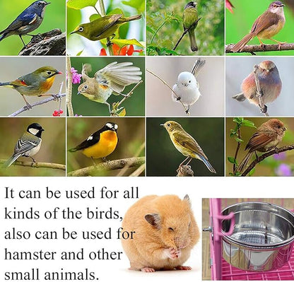PINVNBY Stainless Steel Bowls for Birds,Parrot Feeding Dish Cups Parakeet Food Water Dishes with Clamp Holder Perches for Cockatiel Budgies Macaw Small Animal Chinchilla(5 Pack)