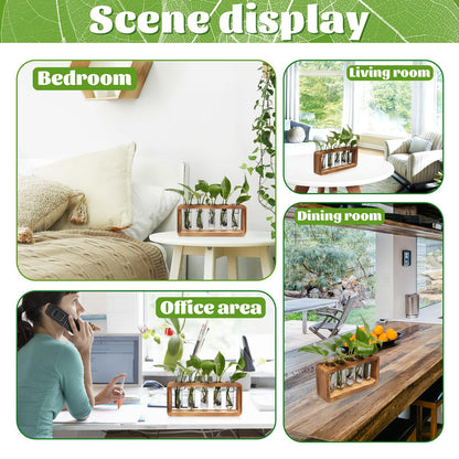 Glass Plant Propagation Station with 5 Test Tubes Colorful Planter Vase Birthday Gifts for Women in Wooden Stand