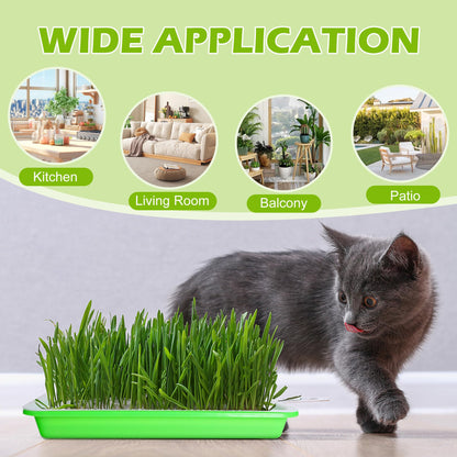 EBaokuup 10 Pack Seed Sprouter Tray with Drain Holes - BPA Free Seed Garden Plant Germination Propagation Trays, Soil-Free Wheatgrass Tray Sprouter Microgreens Growing Kit with Germinating Paper