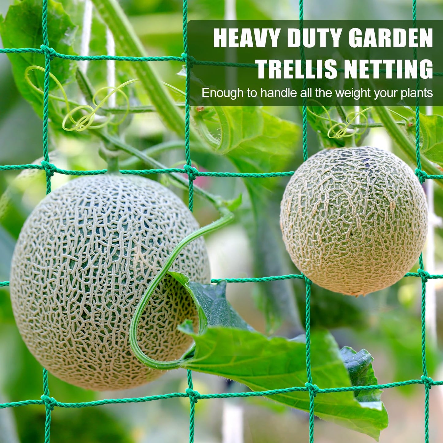 Trellis Netting, Heavy Duty Garden Netting for Trellis for Climbing Plants Outdoor, 16.5x6.6Ft Plant Netting for Cucumber, Tomato, 27 Strands & 4x4 IN Mesh, Grow Net for Vine, Fruits, Vegetables, Bean