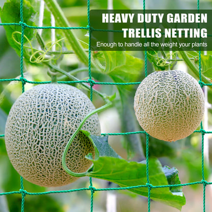 Trellis Netting, Heavy Duty Garden Netting for Trellis for Climbing Plants Outdoor, 16.5x6.6Ft Plant Netting for Cucumber, Tomato, 27 Strands & 4x4 IN Mesh, Grow Net for Vine, Fruits, Vegetables, Bean