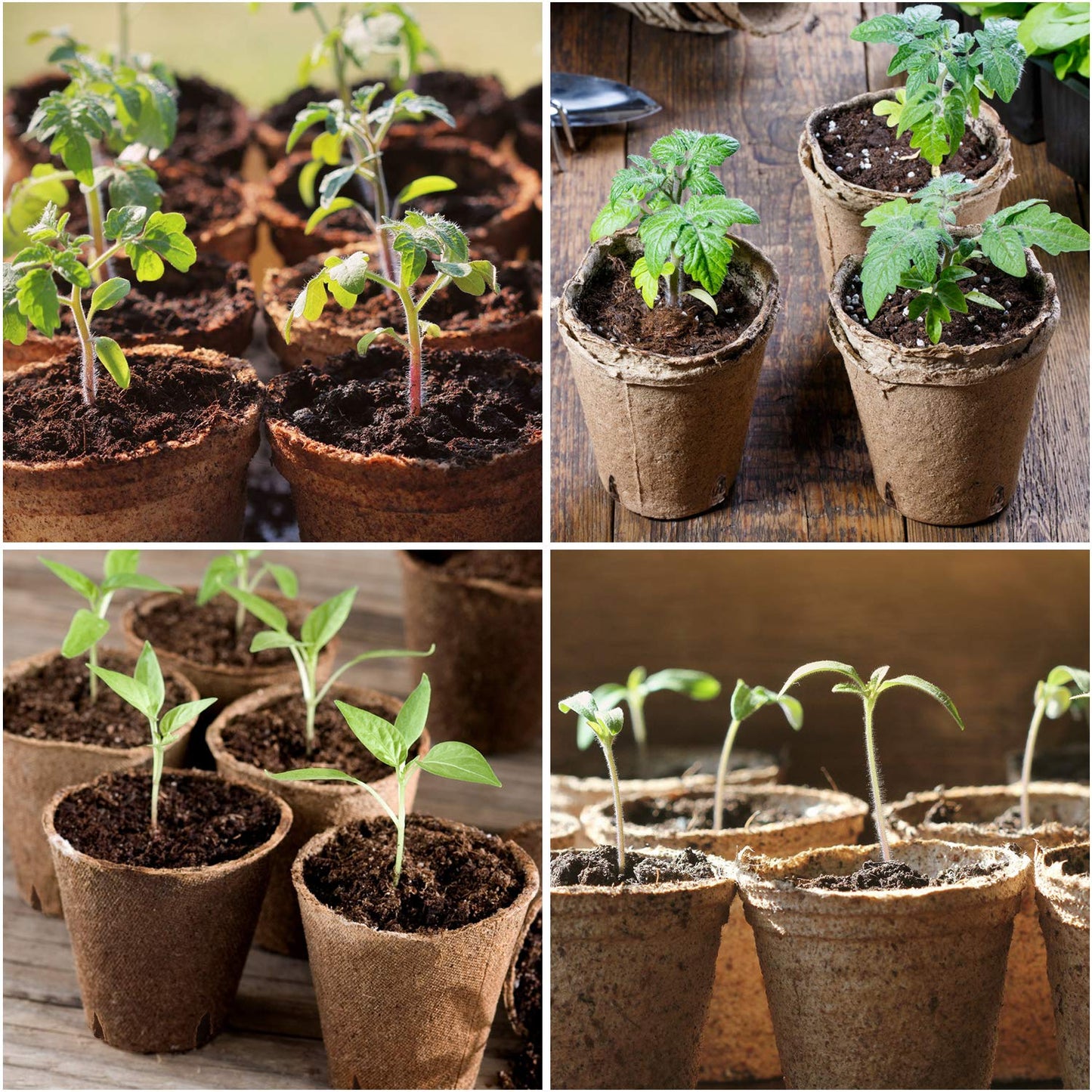 homenote Peat Pots, 4 Inch Seed Starting Pots with Drainage Holes Round(30 Pcs) with 4 Inch Plastic Plant Labels Waterproof Plant Tags(200 Pcs)