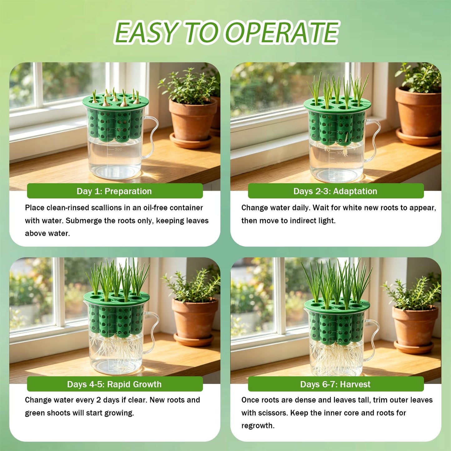 Nalanzhou 2Sets Green Onion Planter Scallion Grower Seed Sprouting Kit, 2 Green Onion Regrower Container and 2 Plastic Cups with Handle for Windowsill Garden Indoor Hydroponics Propagation Enthusiasts