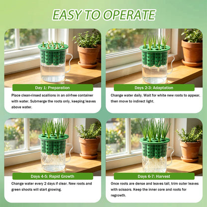 Nalanzhou 2Sets Green Onion Planter Scallion Grower Seed Sprouting Kit, 2 Green Onion Regrower Container and 2 Plastic Cups with Handle for Windowsill Garden Indoor Hydroponics Propagation Enthusiasts