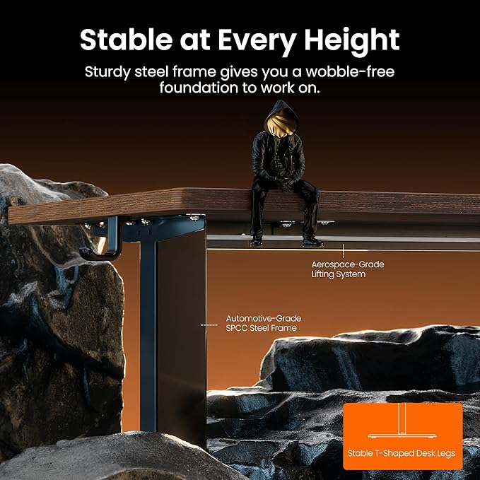ErGear Height Adjustable Electric Standing Desk, 48 x 24 Inches Sit Stand up Desk, Memory Computer Home Office Desk, Dark Walnut