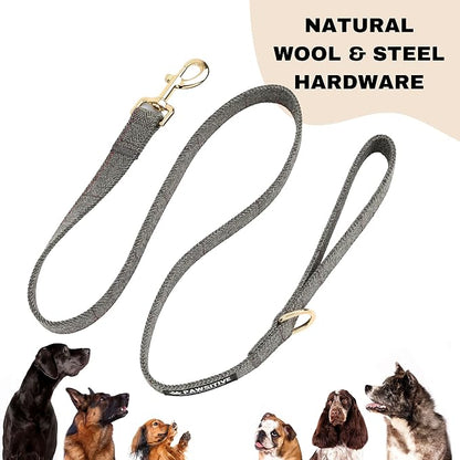 Pawsitive Wool Dog Collar - Hypoallergenic Dog Collar, Great Dog Collar for Sensitive Skin, Soft Collar for Dogs, Soft Organic Dog Collar Eco-Friendly (Large, Gray & Leash)