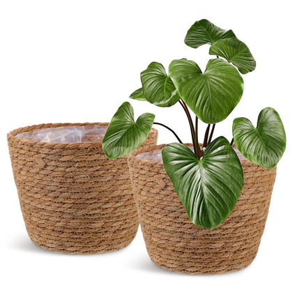 Wicker Planter Baskets with Plastic Liner: 2Pcs Round Seagrass Planter Storage Baskets, Straw Woven Rattan Flower Plants Pot Covers for Indoor Outdoor, Rustic Boho Farmhouse Decor 9 X 9 X 6.5''