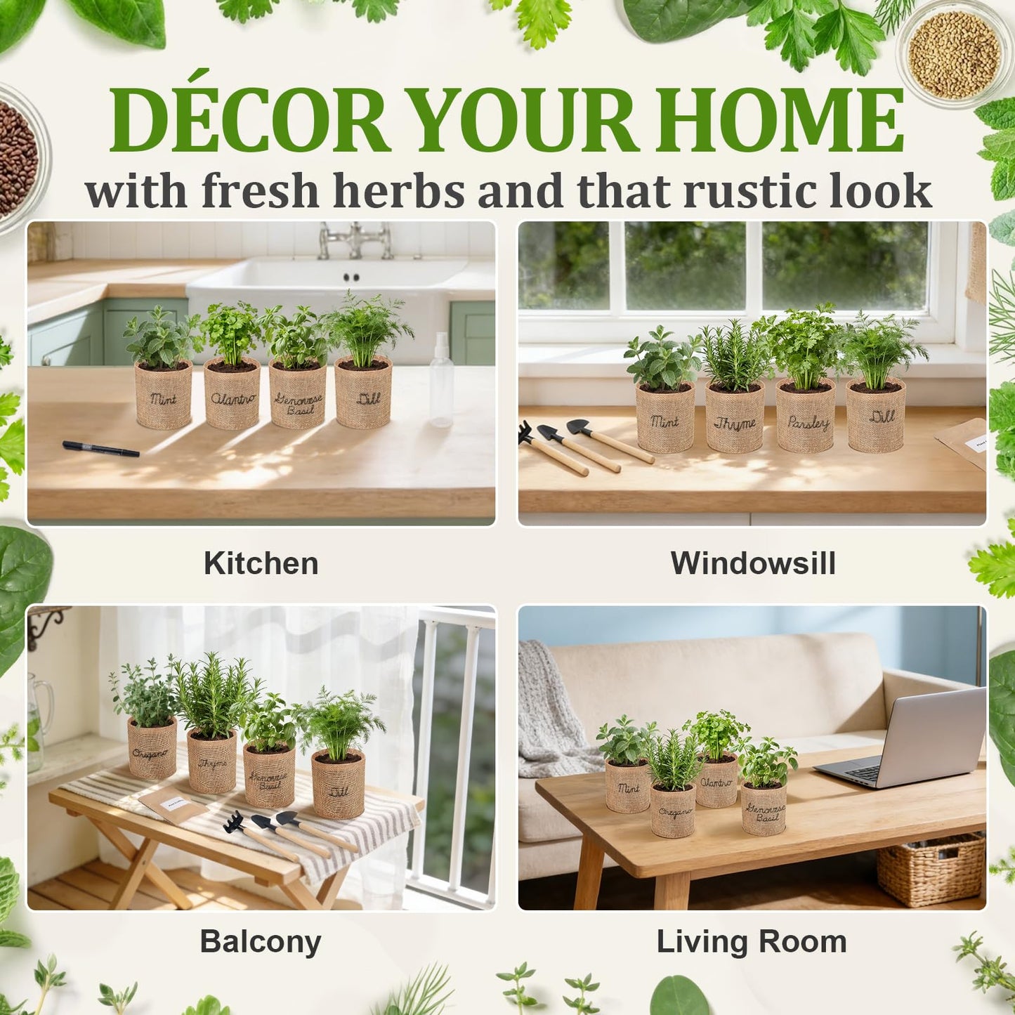 Herb Indoor Window Garden Kit - House Plants Seeds - Best Unique Christmas Gift Ideas for Women, Friend, Birthday, Housewarming, Mother, Beginner DIY Craft & Hobby Gardening Gift for Plant Lovers