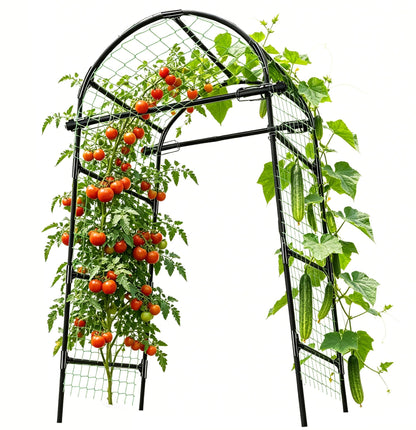 Garden Arch Trellis for Climbing Plants Outdoor - (Black, 81x36x32in) Cucumber Trellis for Raised Bed with Net, Garden Trellis for Climbing Plants, Cucumber, Vegetable, Tomato, Flowers 20mm Thick
