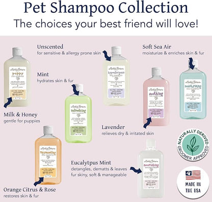 Bobbi Panter Nourishing Dog Conditioner Safflower Oil, Keratin, Shea Butter & Aloe Vera – Detangling Natural Formula for Soft, Smooth & Manageable Coat, 10:1 Concentrate, Made in USA, 14 oz