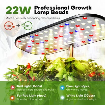 Ahopegarden Hydroponics Growing System Kit Indoor Herb Garden with Grow Light 12 Pods, with LCD Touch Panel Hydroponic Planter, Planting Height Up to 17", Grower Harvest Fresh Veggie Lettuce, Black