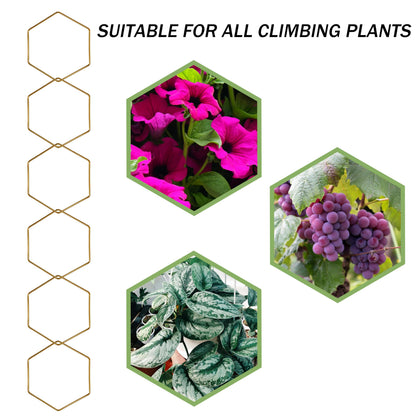 Wall Trellis Indoor, Garden Trellis Plant Accessories Sturdy Wall Trellis for Indoor Climbing Plants, Practical Plant Accessories with Stable Support for Pothos, Ivy. (Gold)
