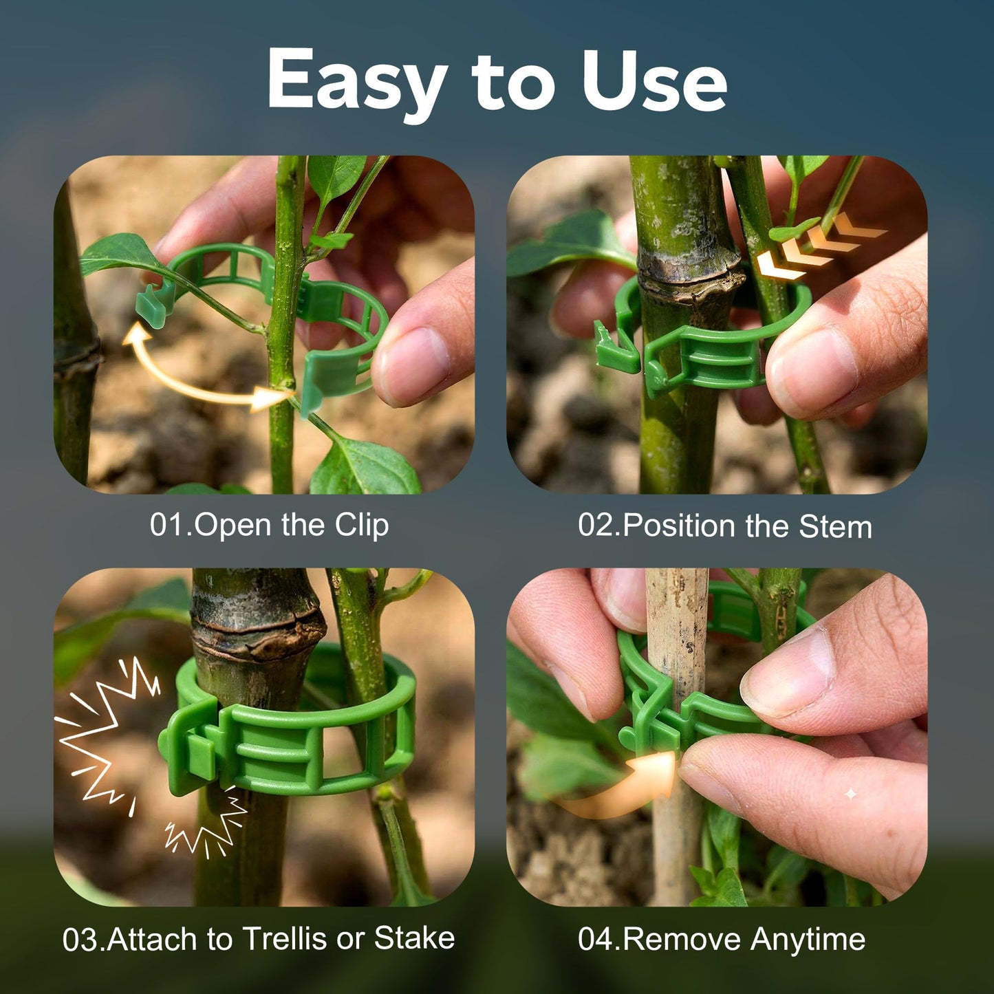 100pcs Tomato Clips for Climbing plants, Plastic Trellis Plant Support Clips for Garden, Reusable Clips for Supporting Grape Tomato Vine and Vegetables Plants to Grow Upright Makes Plants Healthier