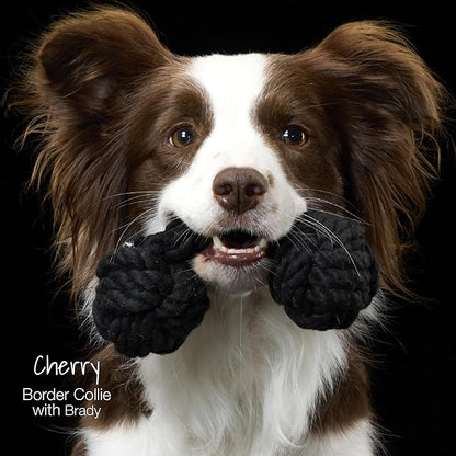 Pet Passion Brady The Rope Tug Toy 3-Pack Organic Cotton Dog Rope Pull Toys for All Pet Breeds, Gray Ombre, One Size