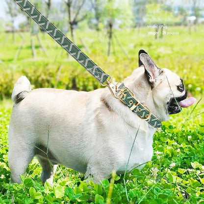 Leather Dog Collar and Leash Set, Check Pattern Dog Collar Leashes Metal Buckle Adjustable Durable for Small Medium Large Dogs (Green, S(11.4-13.4IN))