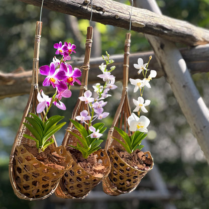 PANWA Handmade 100% Thai Bamboo Hanging Orchid Basket – 4 Inch Set of 3 for Mom & Spring Seasonal Decoration