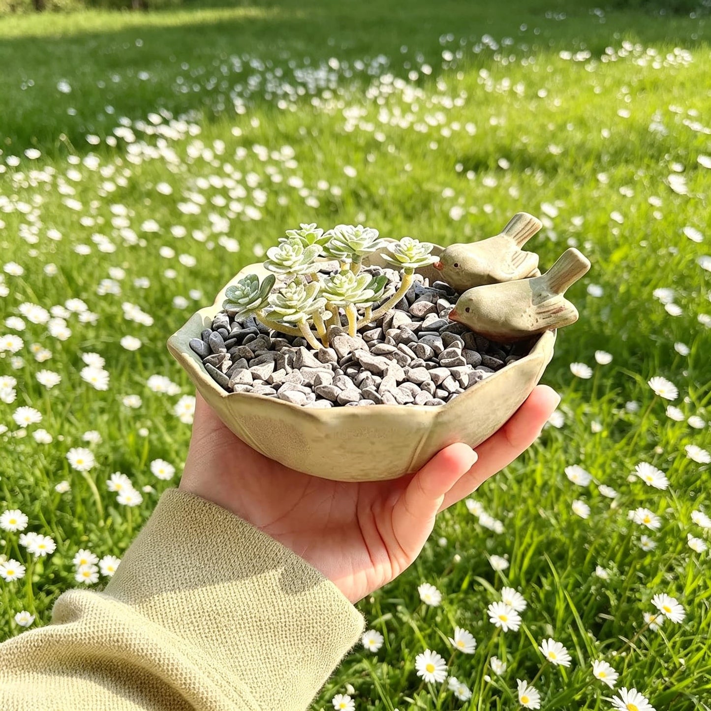 6.2x5.6x2.8in Decorative Flower Pots, Handmade Ceramic Planter, Succulent Planters, Succulent Pots with Drainage Hole for Bonsai, Small Plants & Home Decor (Dahlia Bird Design).