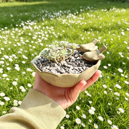 6.2x5.6x2.8in Decorative Flower Pots, Handmade Ceramic Planter, Succulent Planters, Succulent Pots with Drainage Hole for Bonsai, Small Plants & Home Decor (Dahlia Bird Design).