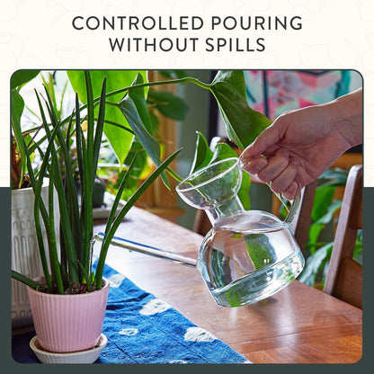 Modern Sprout Plant Watering Can - Handcrafted from Borosilicate Glass - Long Spout Vessel for Indoor Plants - 32 Oz Capacity - Multipurpose Watering Can and Flower Vase for Houseplants (Clear)